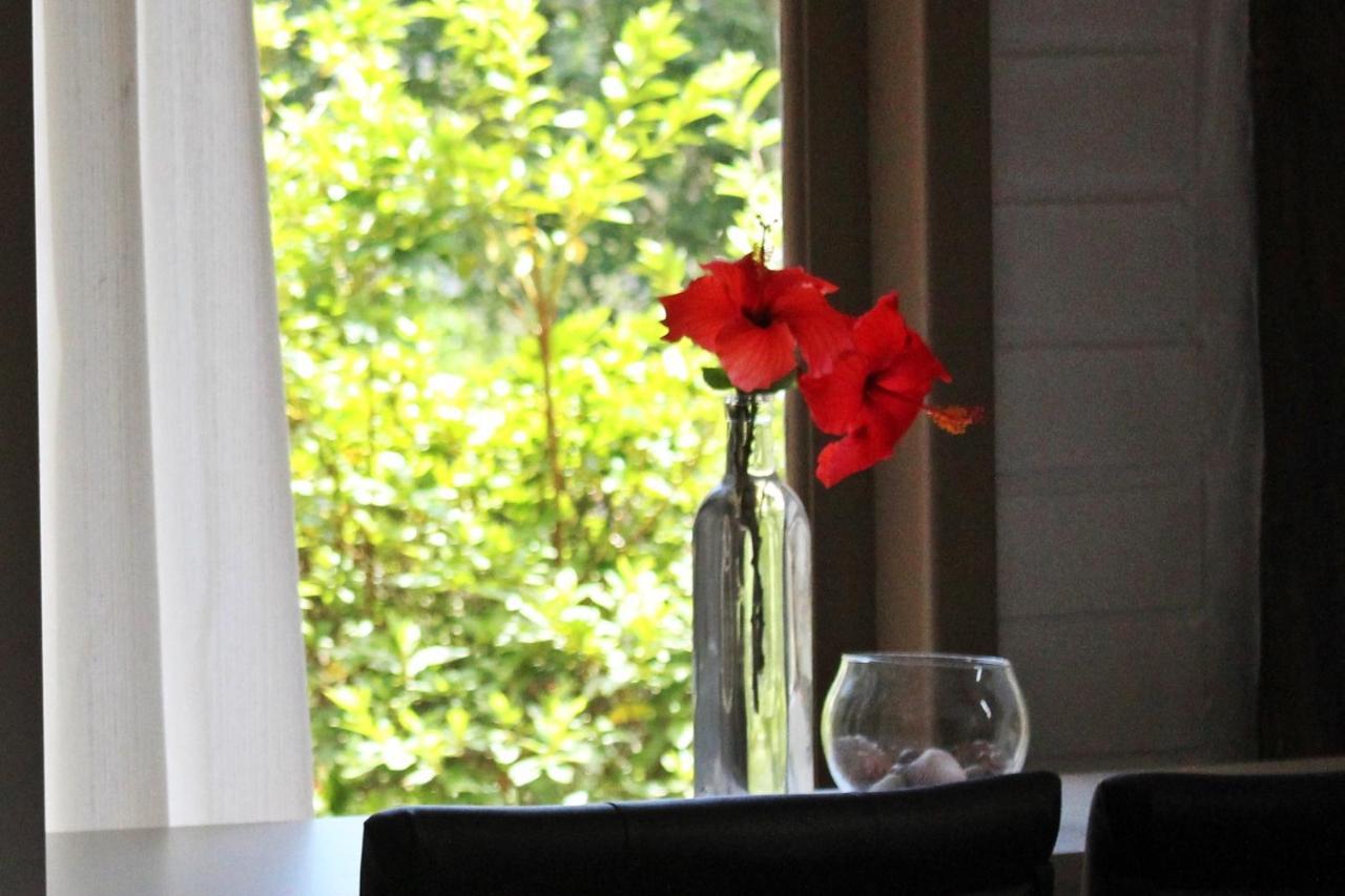 Morada Dos Hibiscos Hotel ปรายาโดโฮซา ภายนอก รูปภาพ